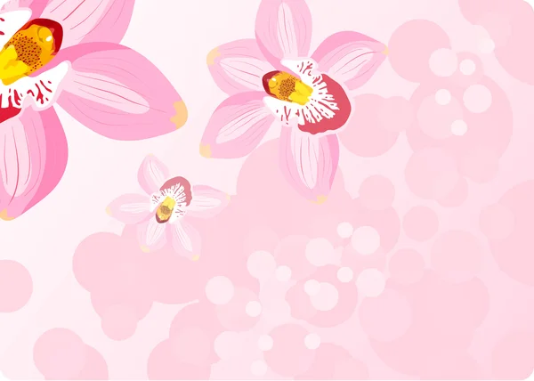 Vektor Orchideák Egy Rózsaszín Háttér — Stock Vector