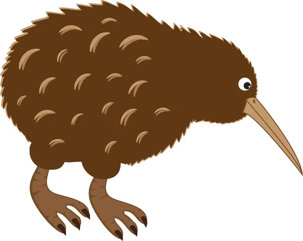 Kiwi madár — Stock Vector
