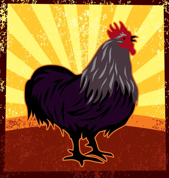 stock vector Rooster, Cock