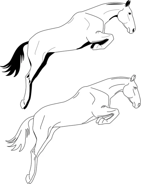 Jumping horse — Stock Vector