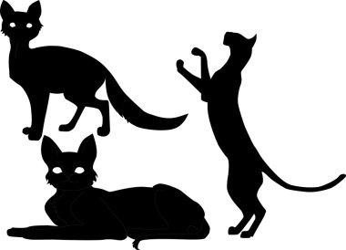 Cats clipart