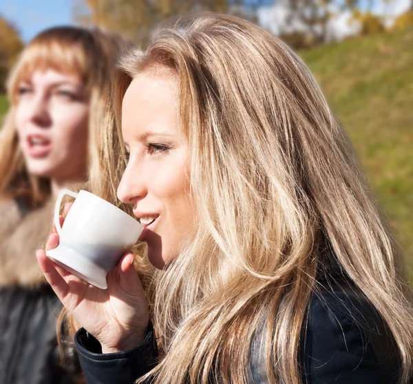 Dvě dívky pití čaje — Stockfoto