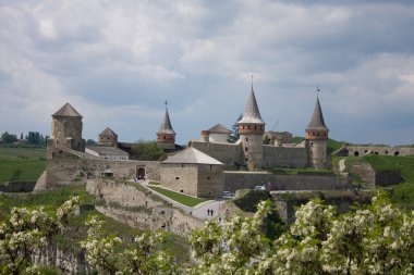 City's castle. Kamianets-Podilskyi. Ukraine clipart