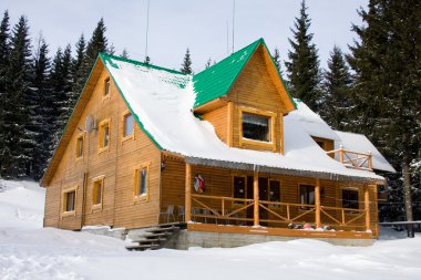 Two-storeyed wooden house concealed by snow, Ukraine, Carpathian clipart