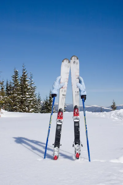 Esquís en nieve —  Fotos de Stock