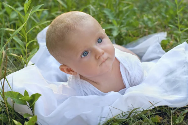 Chłopiec w zielonej trawie — Zdjęcie stockowe