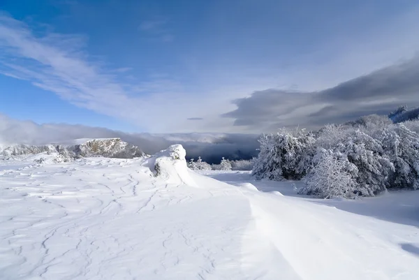 Paisaje invernal con árboles nevados —  Fotos de Stock