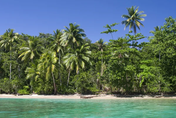 Spiaggia tropicale con palme da cocco — Foto Stock