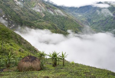 geleneksel köy Papua
