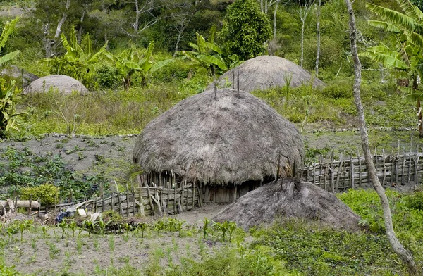 Een traditioneel dorp in Papoea, Indonesië — Stockfoto