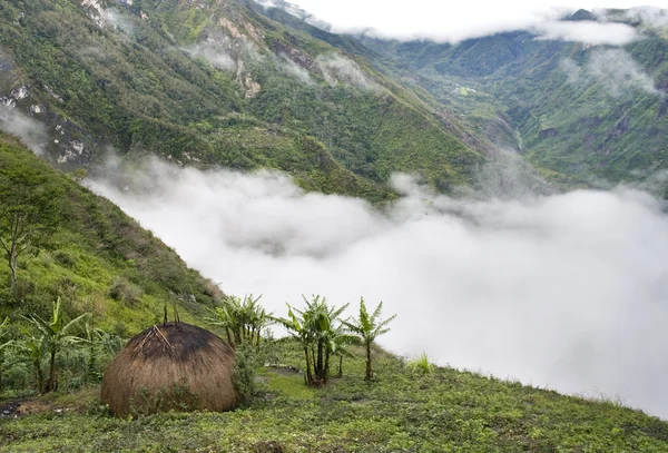 Geleneksel köy Papua — Stok fotoğraf