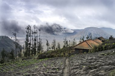 Mount bromo yanardağ, java