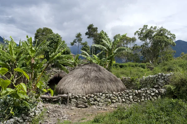 Een traditionele hut in een Indonesische bergdorp — Stockfoto