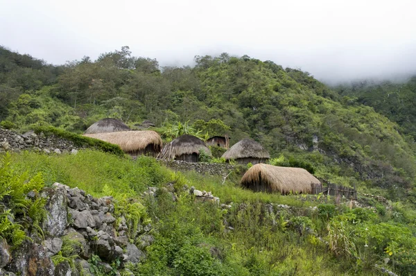 Egy hagyományos falu Pápua — Stock Fotó