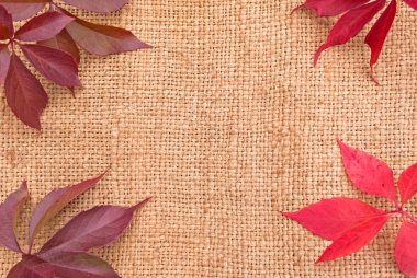 yaprakları ile keten arka plan