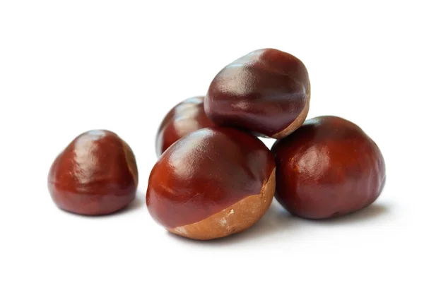 stock image Horse chestnuts