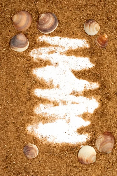 Cadre sable et coquille — Photo