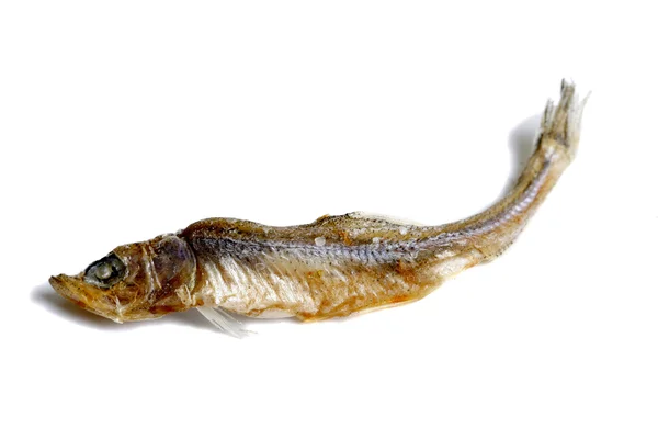 Gedroogde kleine vis — Stockfoto