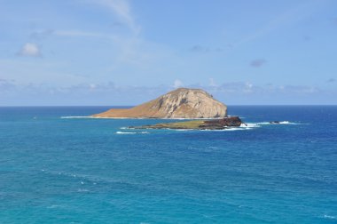 oahu kapalı tavşan Adası