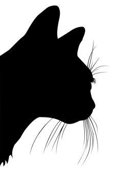 Cats head in vector clipart