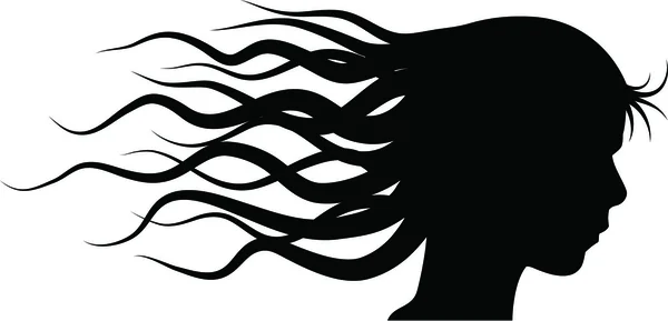 Die Silhouette Eines Kopfes Mit Haaren Wind — Stockvektor