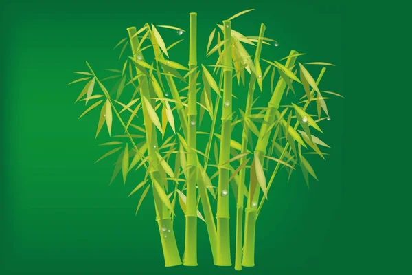 Bambus Vektorillustration — Stockvektor
