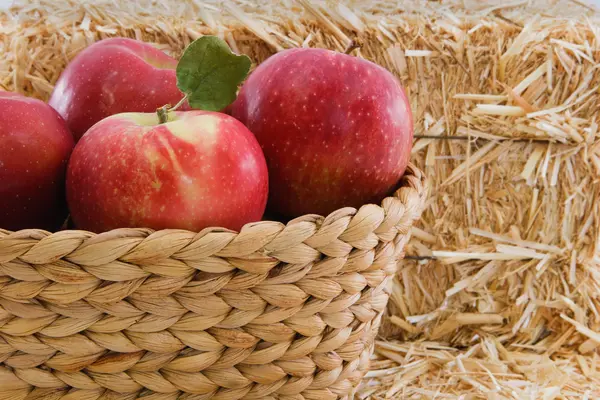 Чотири смачні червоні яблука в кошику з сільською соломою — стокове фото