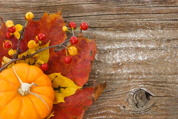 Herbst Charme Hintergrund mit Kopierraum — Stockfoto