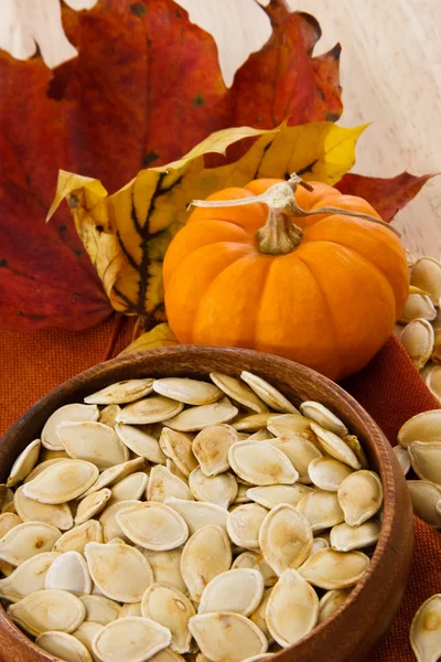 Verticale schot van geroosterde pompoen zaden en herfst kleuren — Stockfoto