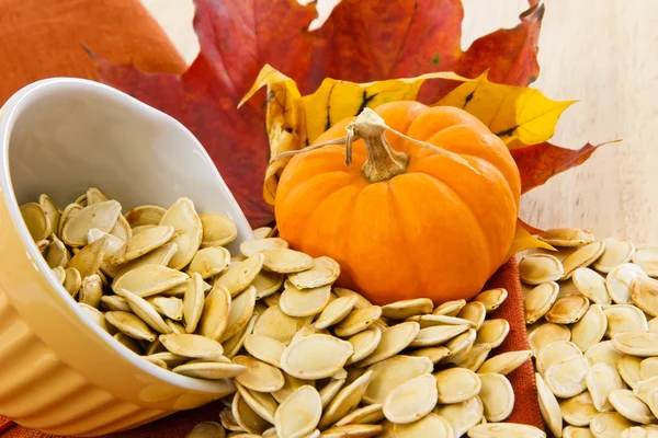 Toasted pumpkin seeds spilling from a yellow bowl Royalty Free Stock Images