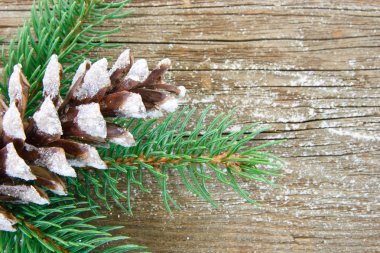 Glitery pine cone on wood background clipart