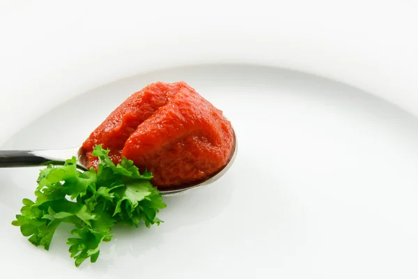 stock image Fresh Tomato Paste Accented with Parsley