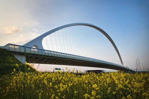 Arch of suspended bridge — Stock Photo, Image