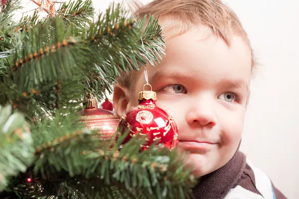 Menino pequeno olha para a árvore de Natal — Fotografia de Stock