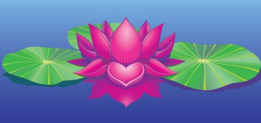 Lotus on water clipart