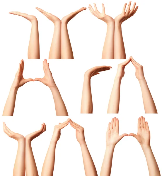 Vele Menselijke Handen Geïsoleerd Witte Achtergrond — Stockfoto