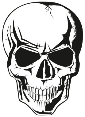 Human skull clipart