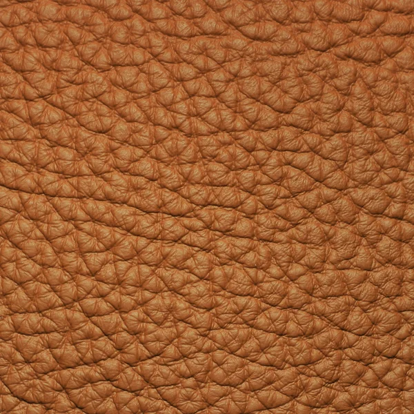 Piece of brown leather 2 — Stock Photo, Image