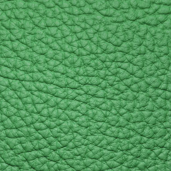 Stück grünes Leder 2 — Stockfoto