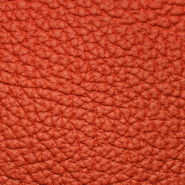 Stück rotes Leder 2 — Stockfoto