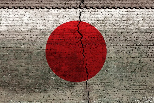 Japan Jordbävning — Stockfoto