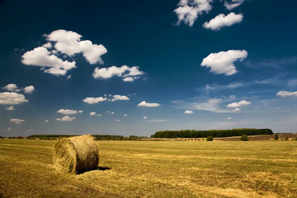 農業景観 ストック画像