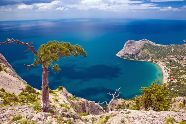 Mar, árbol y montaña Imagen de stock