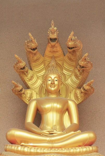 The Buddha status — Stock Photo, Image