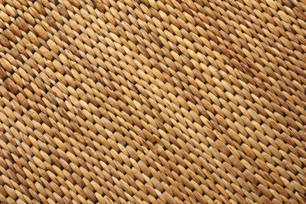 Close up de almofada de jacinto de água para fundo — Fotografia de Stock