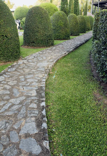 stock image Pavement made of stone in beautiful garden