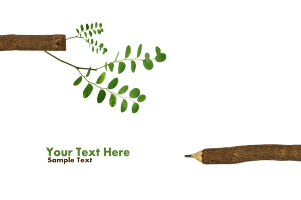 Concept bomen groeien op een potlood na opwarming isoleren op wit — Stockfoto