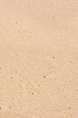 Surface sand texture clipart