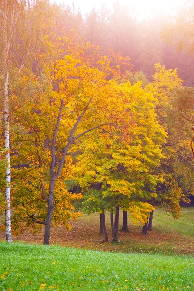 Herfst landschap # 3 — Stockfoto