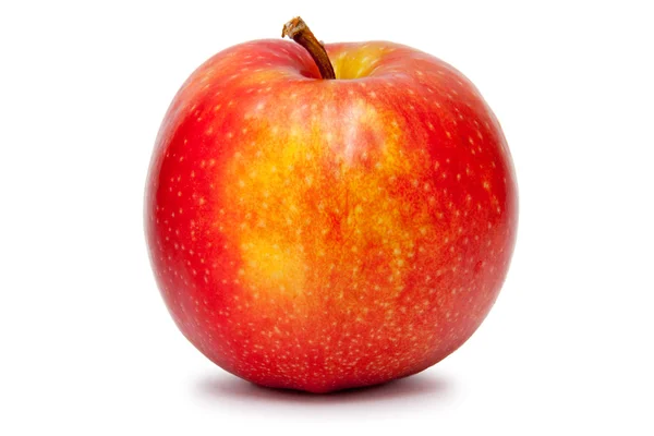 Büyük kırmızı elma — Stok fotoğraf